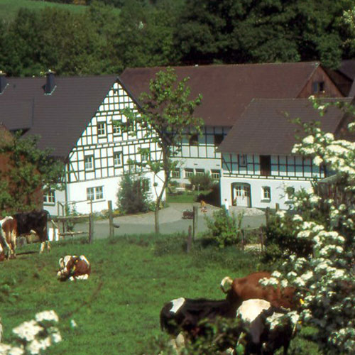 Käserei Löffler in Dornheim